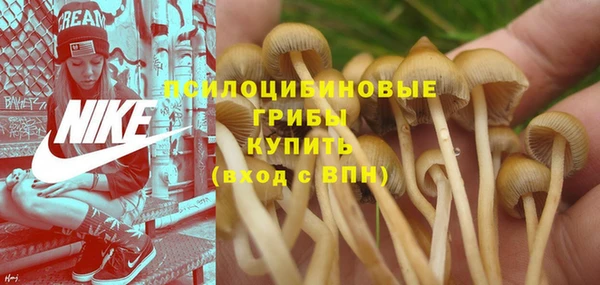 первитин Армянск